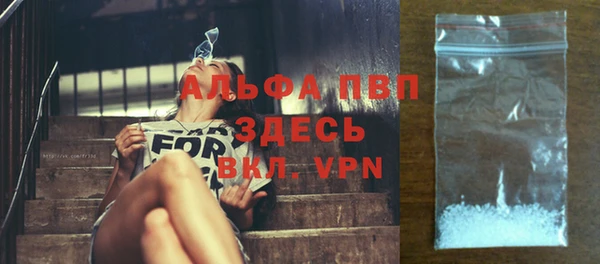 стафф Арсеньев
