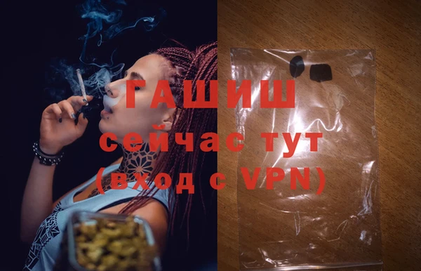 стафф Арсеньев
