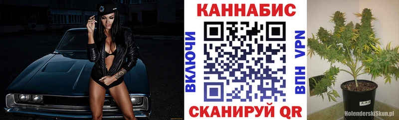 Бошки марихуана планчик  MEGA tor  Сольцы 